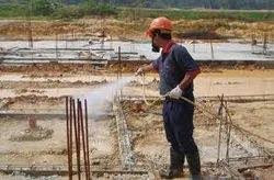 شركة مكافحة النمل الأبيض بالرياض