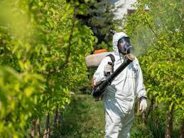 مكافحة الحشرات في الرياض