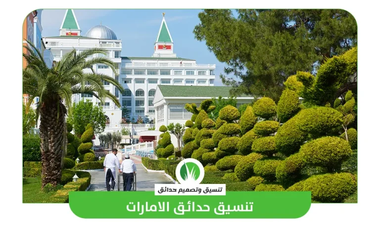 تنسيق حدائق الامارات