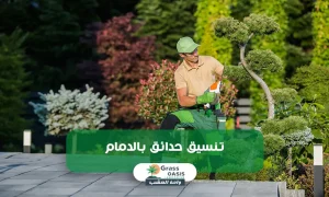 تنسيق حدائق الدمام