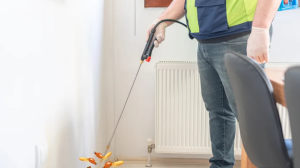 شركة مكافحة حشرات بالامارات