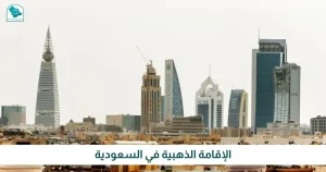 الانجاز الفوري افضل مكتب تجنيس الكفاءات في السعودية