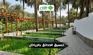 الأول أفضل شركات تنسيق حدائق بالرياض