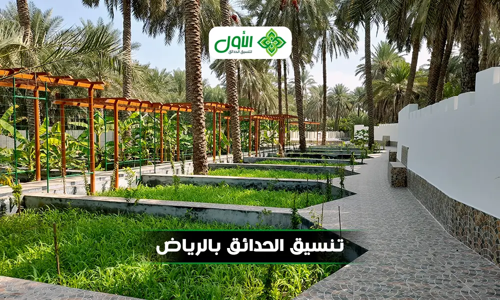 الأول أفضل شركات تنسيق حدائق بالرياض